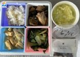 今日菜色(葷)