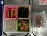 一人份營養午餐